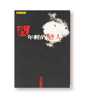 我年輕的戀人-聯合文學